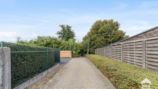 Hille - 64 - - 8750