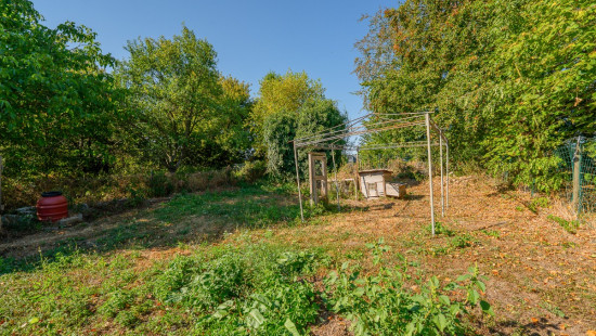 Rue des Quatre Arbres - 11 - - 5170