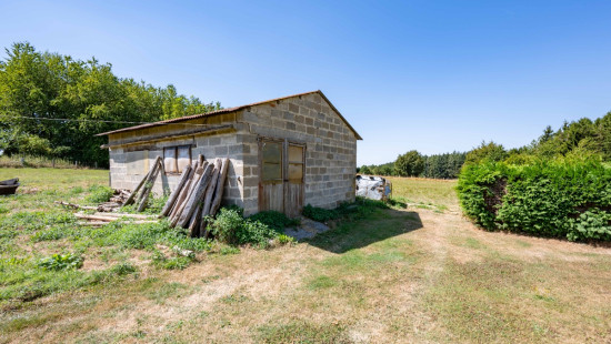 Rue du Roy - 47 - - 6670