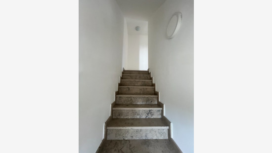 Rozenstraat - 17 - B - 3530