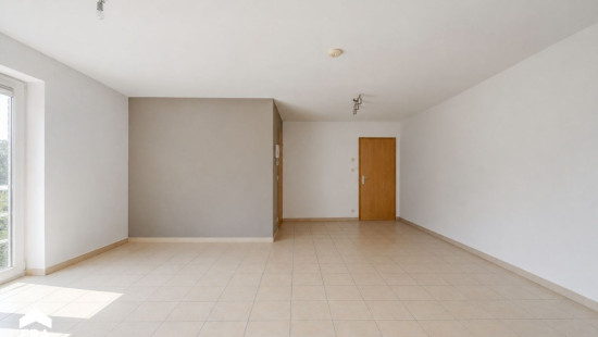Rue des Pirailles - 40 - A3 - 5020