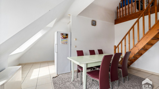 Biezeput - 81 - 22 - 1501