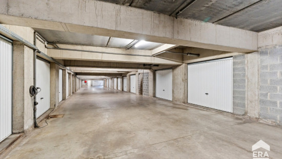 Biezeput - 81 - 22 - 1501
