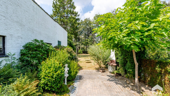 Assestraat - 62 - - 1700