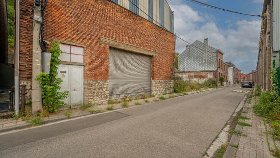 Rue Saint-Ivette - 60 - - 4500