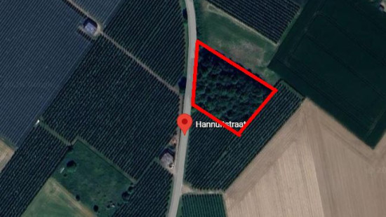 Meerveld - zn - - 3890
