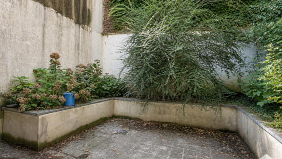 Rue de la levure - 41 - - 1050