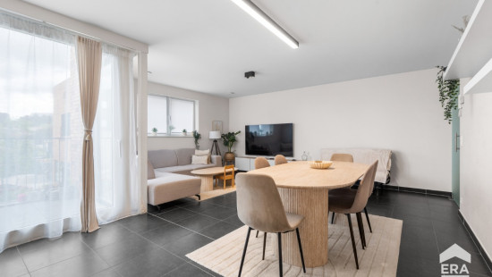 Ninoofsesteenweg - 1024 - - 1703