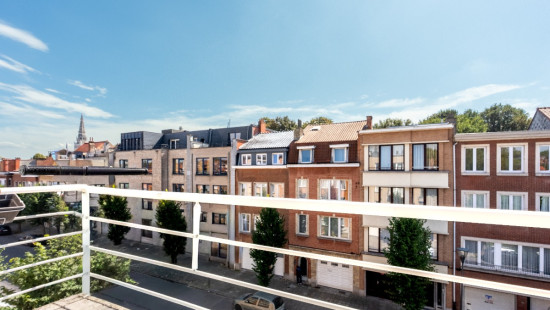 Boulevard Sylvain Dupuis - 101 - 3 - 1070