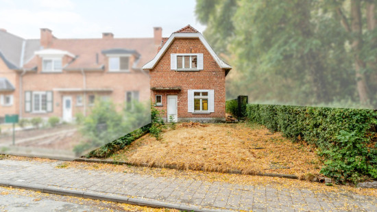 Platte Lostraat - 172 - - 3010