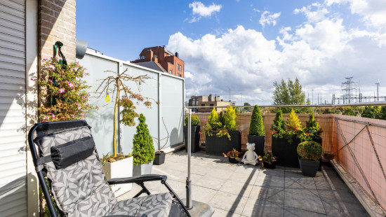 Mercatorstraat - 3 - - 8380