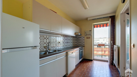 Rue Steenvelt - 36 - - 1180