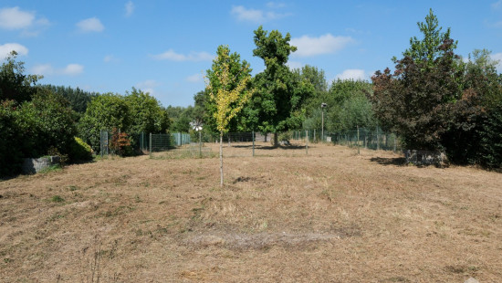 Wimmertingenstraat - 39 - - 3500