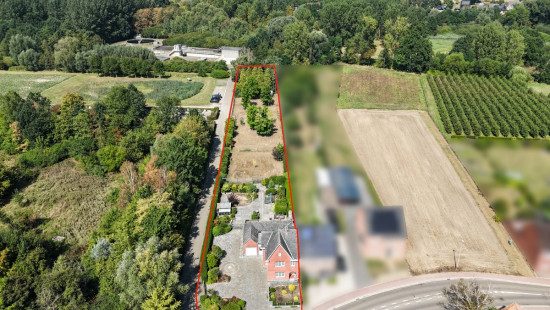 Wimmertingenstraat - 39 - - 3500