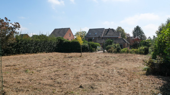 Wimmertingenstraat - 39 - - 3500