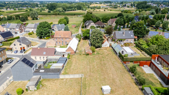 's Gravenkerselaar - 54 - - 9450