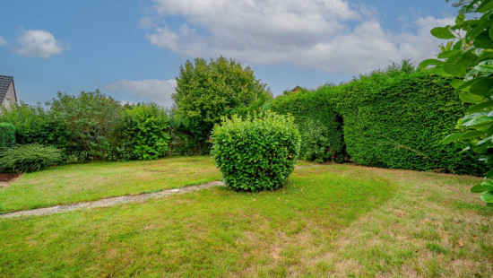 Rue Victor Genot - 42 - - 5001