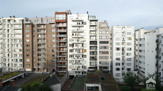 Rue Van Eyck - 50 - 2 - 1000