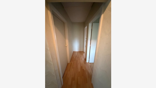 Ieperseweg - 126 - - 8800