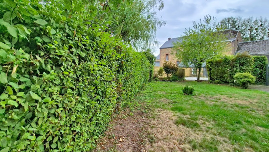 Rue de Tantonville - 8 - - 4557
