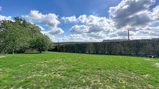 Rue Chemin du Comte - 1 - - 4570