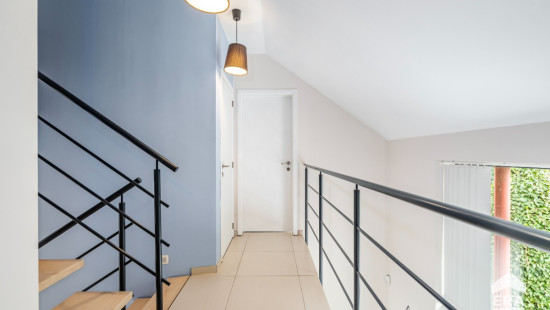 Rue d'en Haut - 21 - - 7830