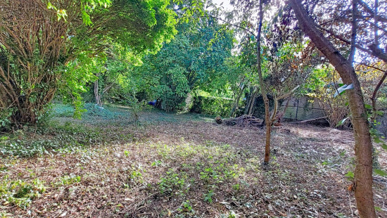Rue Nicolas Jadot - 38 - - 4500