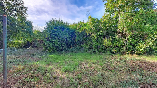 Rue Nicolas Jadot - 38 - - 4500