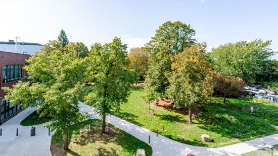 Valkenveld - 52 - - 2610