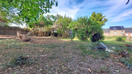 Rue Nicolas Jadot - 38 - - 4500