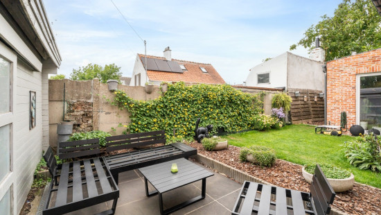 Wolvenstraat - 12 - - 9550