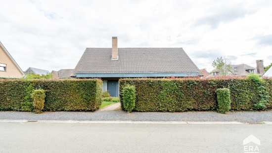 Hagebeuk - 32 - - 1785