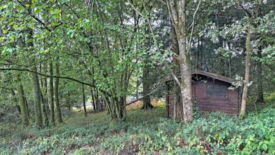 Sur les Thiers - 16 - - 4990