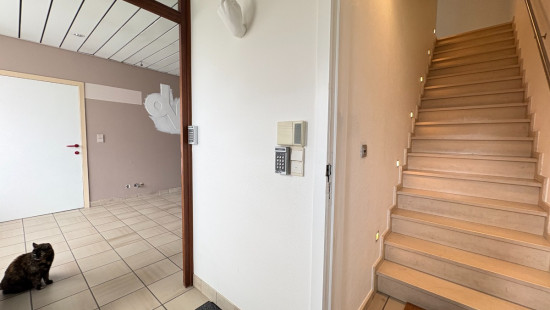 Wilgenstraat - 90B - - 8800