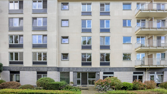 Duivenstraat - 50 - 101 - 2800