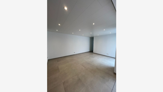 Lichtveld - 60 - - 3980
