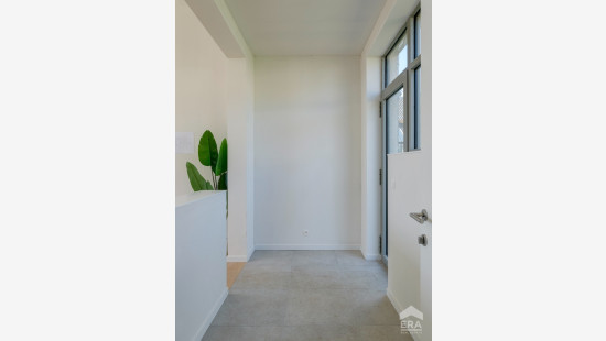 Tolstraat - 4D - - 3770