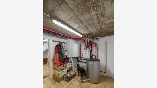 Dreef - 19 - - 1703