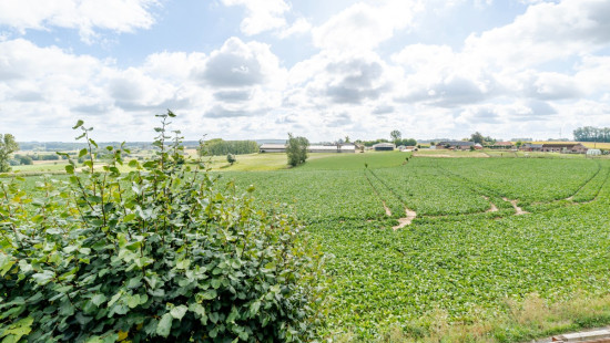 Rijksweg - 113 - - 9681