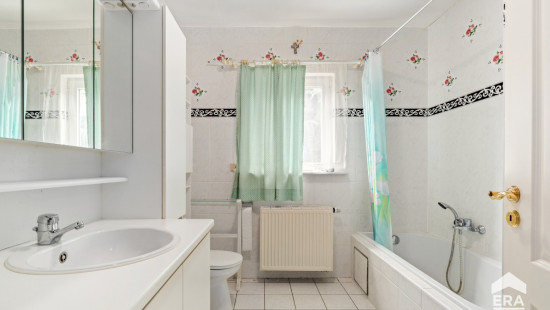 Rue du Village - 29 - - 7850