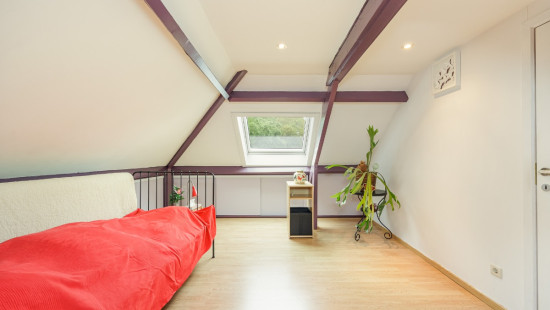 Vogelhofstraat - 5 - - 2323