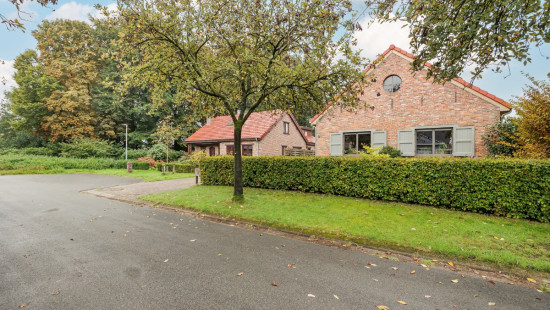 Vogelhofstraat - 5 - - 2323