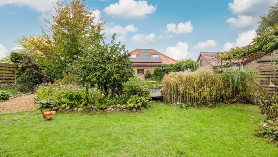 Vogelhofstraat - 5 - - 2323
