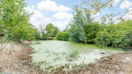 Mouterijdreef - 70 - - 9800