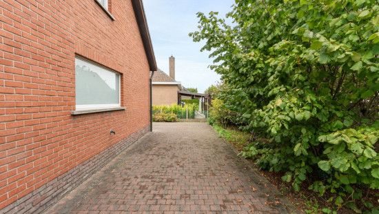 Rozenlaan - 6 - - 281 H - 9880