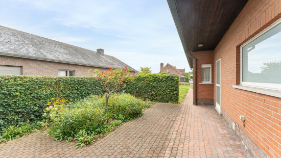 Rozenlaan - 6 - - 281 H - 9880