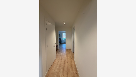 Vennestraat - 75 - - 2275