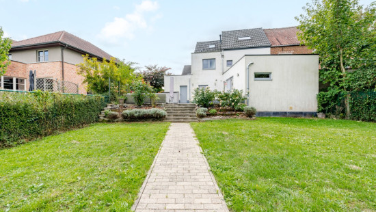 Molenstraat - 53 - - 3078