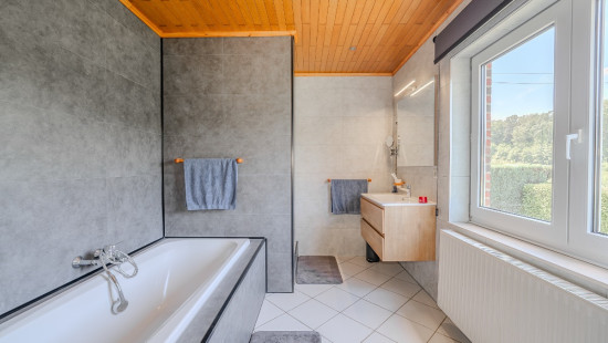 Rue des Jardins d'Annevoie - 79 - - 5537