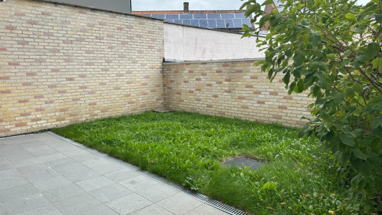 Karel Coggelaan - 9 - 0001 - 8630